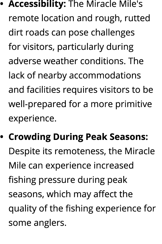 • Accessibility: The Miracle Mile's remote location and rough, rutted dirt roads can pose challenges for visitors, pa...