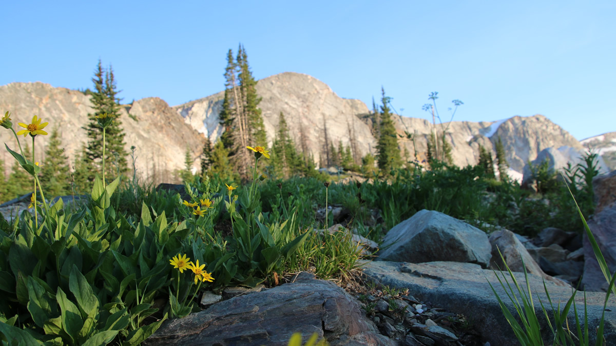 Snowy Range Carbon County WY 3