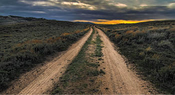 A dirt road in a field with a nude figure in the distance. AI generated content